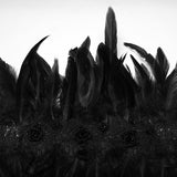 Goth Asymmetric Feather Shawl