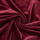 Goth Embroidered  Velvet Cloak